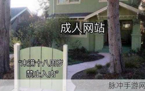 成人网站18勿进：探索成人网站背后的秘密与隐患，18岁勿入！
