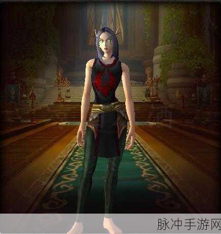 血骑士战袍怎么获得：如何获取拓展血骑士战袍？详尽攻略与技巧分享