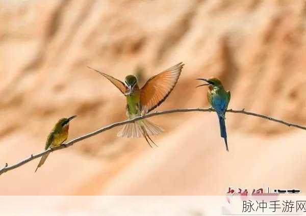 亚洲精品系列：探索无尽魅力，畅享亚洲精品系列的独特体验