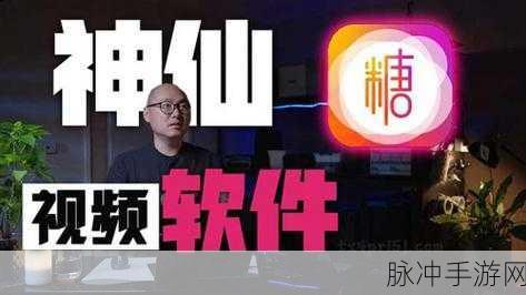 柚子猫糖心logo所有作品：“柚子猫糖心：甜蜜与可爱并存的品牌艺术作品集”