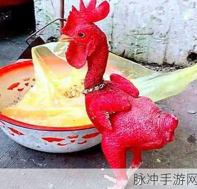 搞鸡time恶心十分钟：“恶心又搞笑的十分钟：让你捧腹大笑的拓展搞鸡时刻”