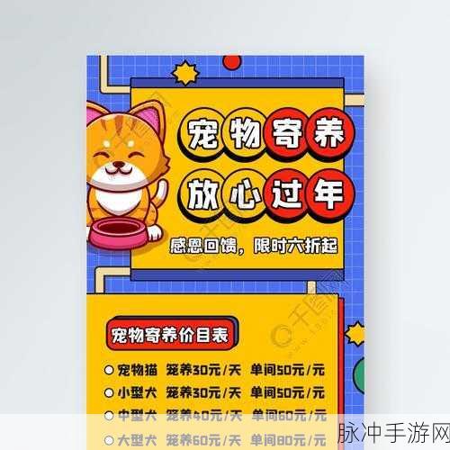 哪些春节宠物加技能：春节期间宠物加技能的趣味拓展活动推荐与指南
