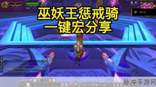 80级惩戒骑一键输出宏怎么做：如何制作80级惩戒骑一键输出宏的详细指南