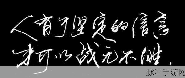 696969大但人 正道：追寻正道：在纷繁复杂中坚定前行的信念与勇气