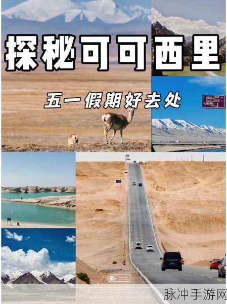 国精一二二产品无人区免费：探索国精一二二产品无人区，享受免费体验新机遇！