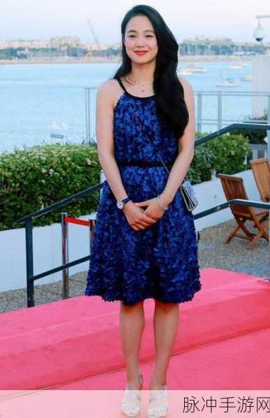 Chinese白胖老女人：优雅成熟：探索白胖老女人的独特魅力与生活智慧