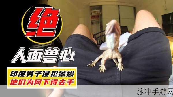 印度蜥蜴被侵害事件：印度蜥蜴生态危机：保护濒危物种刻不容缓