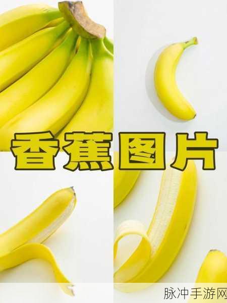 99精产国品一二三产品香蕉：全新升级：拓展99精产国品一二三系列香蕉，品质更优！