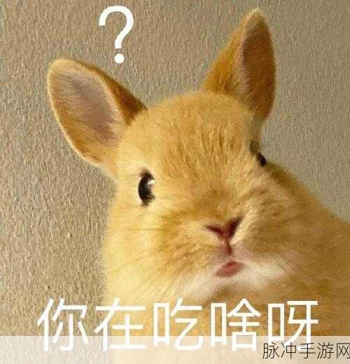 两只大兔子从衬衫里蹦出：两只可爱大兔子欢快跳出衬衫，惊喜不断！