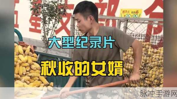 女婿一会叫妈一会叫阿姨什么意思：女婿称呼的变化：妈与阿姨之间的情感微妙关系