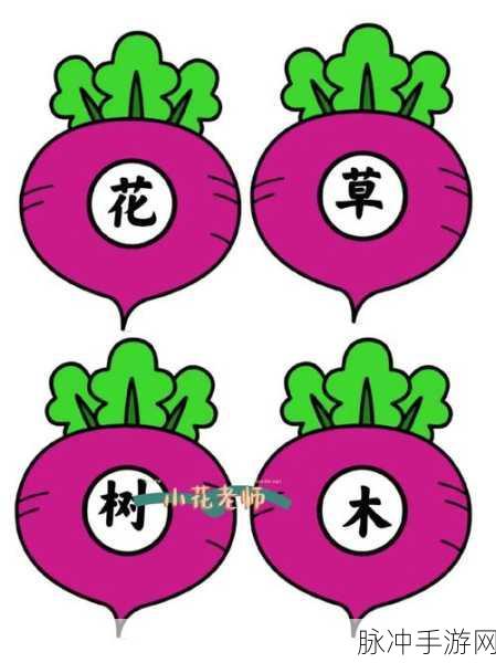 拔萝卜打扑克不盖：“趣味游戏大集合：拔萝卜与扑克对决不打盖”
