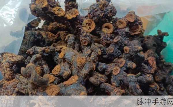 九幺黄9·1安装：九幺黄9·1版本全新安装指南与功能解析
