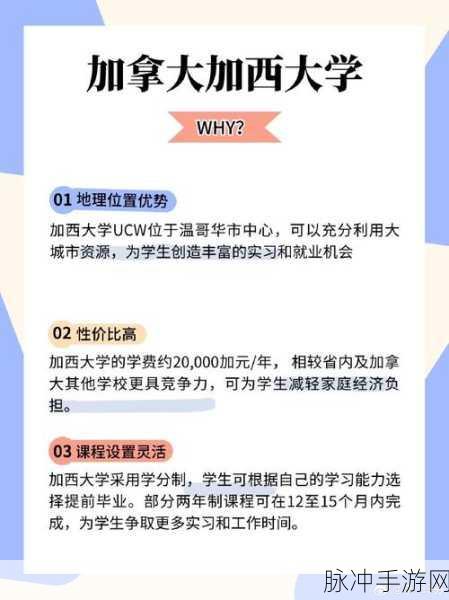亚洲一线产区二线产区MBA库：拓展亚洲一线与二线产区的MBA资源库建设策略