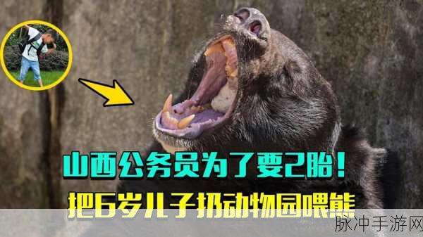 17c一起草国卢O69：“探索17c一起草国卢O69的多维度发展潜力与影响”
