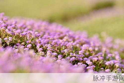 粉色视频苏州晶体结构sio：探秘苏州晶体结构SiO的独特魅力与应用前景