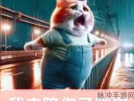 51吃瓜今日吃瓜必吃胖猫吃瓜中心：今日必吃胖猫，51吃瓜中心带你畅享美味与快乐！