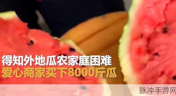 51cg热门大瓜今日吃瓜 往期回顾：“今日热门大瓜回顾：51cg精彩事件全解析”