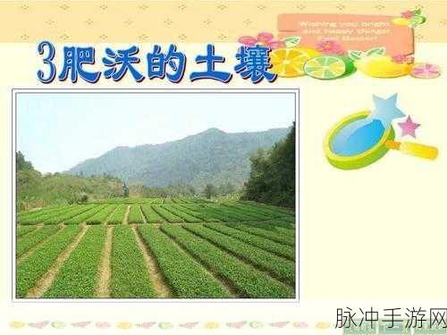 开垦母亲肥沃的土地倾碧悠然：在肥沃的土地上，拓展希望与梦想的耕耘之旅