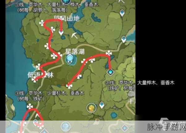原神辉木业果木高效采集指南，畅行提瓦特