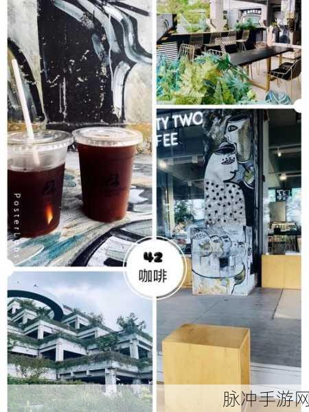 YOURPOUR张津瑜：YOURPOUR张津瑜：探索咖啡文化与艺术的完美融合