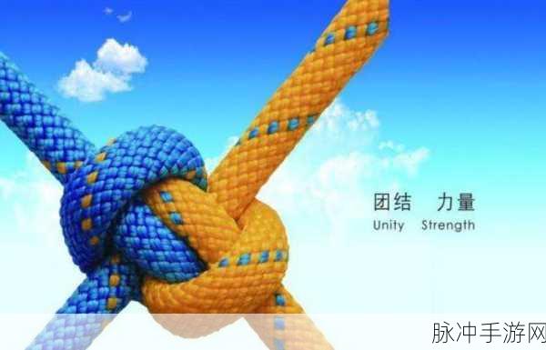 一起艹.：探索一起艹的奇妙世界，感受团结合作的力量与乐趣