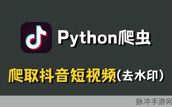 免费python在线观看源：探索多种途径，获取免费Python视频学习资源的方法。