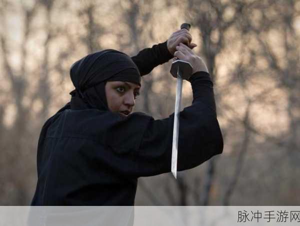 女忍者耐力训练测试：女忍者耐力训练测试：提升体能与意志的全面挑战