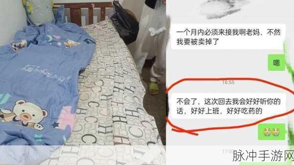 2023缅北血腥网站：“2023缅北地区血腥暴力事件与社会动荡深入分析”