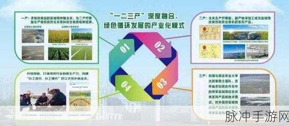 99精产国品一二三产区网站：拓展99精产国品一二三产业区网站，助力地方经济发展与品牌提升