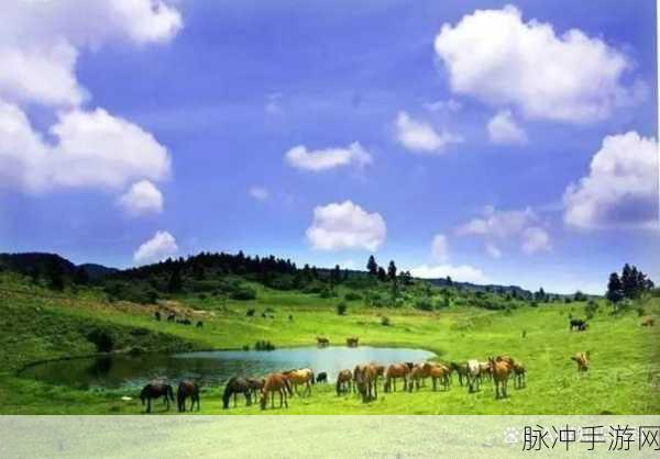 www.17c555：畅享生活，探索更多精彩内容尽在www.17c555！