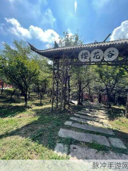 www.17c555：畅享生活，探索更多精彩内容尽在www.17c555！