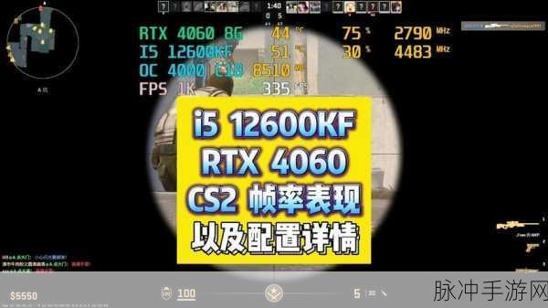 55岁真人实战cs：55岁真实战斗体验：CS游戏中的智慧与勇气之旅