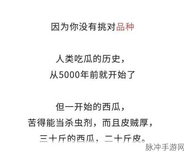 51吃瓜网为啥有广告：探讨51吃瓜网广告存在的原因及其影响