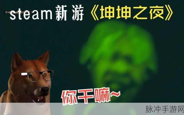 把坤坤放在主唱耀星定眼里开元游戏：在耀星璀璨的舞台上，坤坤展现魅力与才华。