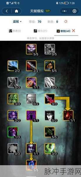 wlk盗贼什么天赋练级最快：《魔兽世界》拓展WLK盗贼快速练级最佳天赋推荐与攻略