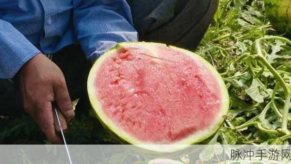 17吃瓜在线国产热门：吃瓜小道消息：17个令人瞩目的热议事件大盘点