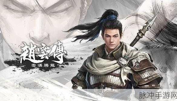 赵云传云汉腾龙八卦锻炉配方：赵云传：云汉腾龙八卦锻炉配方的全新探索与解析