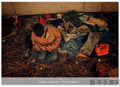流浪汉把我拉进桥底免费阅读：流浪汉的奇遇记：在桥底下的秘密与温暖