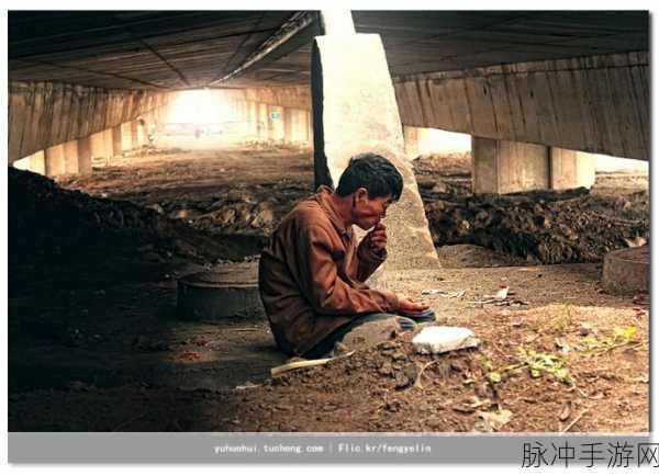流浪汉把我拉进桥底免费阅读：流浪汉的奇遇记：在桥底下的秘密与温暖