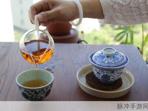 蜜茶1v.1h：“在甜蜜的茶香中，展开一场心灵碰撞的1v.1对决”