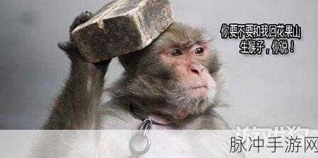 教你如何生猴子：探索猴子繁殖的奥秘与技巧，助你成功养育小猴子。