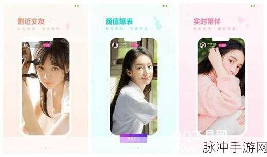 kdbacc蝌蚪吧_kdbaccapk：探索kdbacc蝌蚪吧：全方位解析kdbaccapk应用与功能