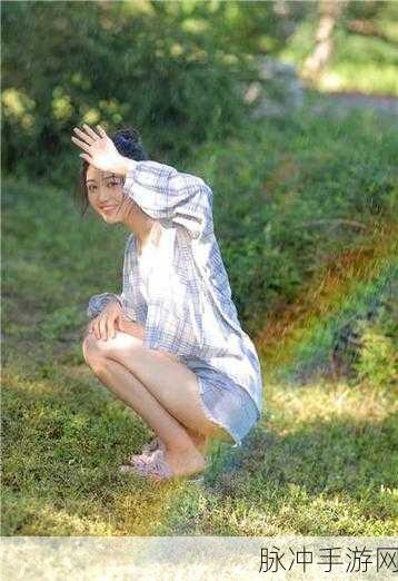 kdbacc蝌蚪吧_kdbaccapk：探索kdbacc蝌蚪吧：全方位解析kdbaccapk应用与功能