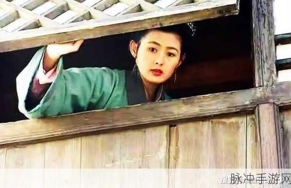 国产精品美女久久久久久潘金莲：现代视角下的潘金莲：重塑经典之美与情愫