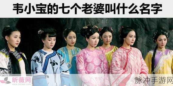 韦小宝战七女：韦小宝智斗七位美丽女子的传奇故事