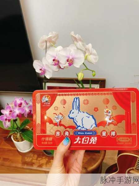 大白兔衬衫里蹦蹦跳跳的是什么：“探索大白兔衬衫内隐藏的趣味与创意元素”