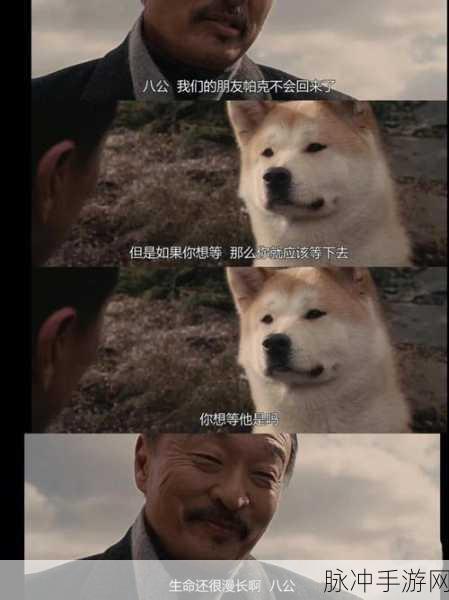 我的第一次给了家狗狗：“我与家狗的第一次亲密接触，温馨瞬间难忘”