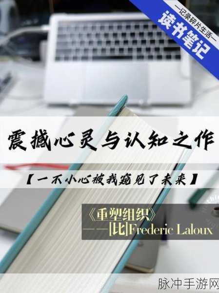 耕了母亲荒废土地：母亲的荒废土地焕发新生，重塑希望与未来