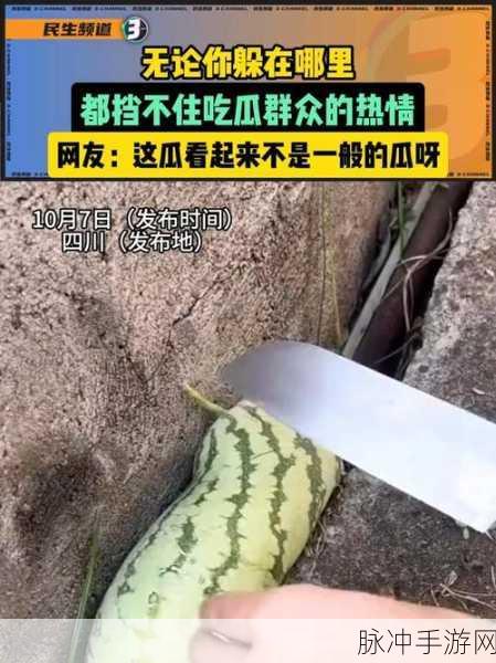 51吃瓜网-朝阳群众：“朝阳群众：51吃瓜网背后的神秘力量与真实故事”