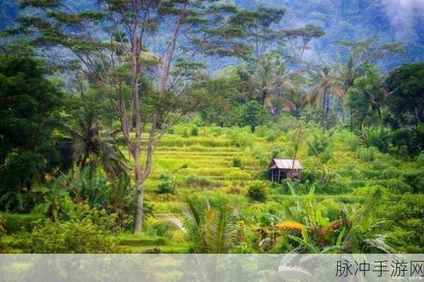 www.天堂资源野草：探索天堂资源野草的无限可能与魅力之旅
